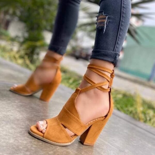 WhatsApp Image 2021-11-15 at 5.01.49 PM Bajo Camel